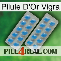 Vigra Gold Pill 23